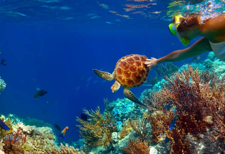 Ko Samui: Unique Ko Tao & Ko Nang Yuan Snorkeling Day Trip - The speedboat pacing: what feels great, what feels long