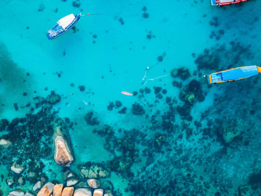 Ko Samui: Unique Ko Tao & Ko Nang Yuan Snorkeling Day Trip - Who should book this trip (and who should skip it)