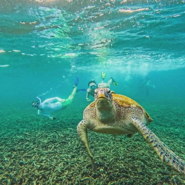 Ko Tao: Tao-Nangyuan Snorkeling Day Trip with Meals & Sunset - Koh Nang Yuan stops: Japanese Gardens plus that viewpoint hit