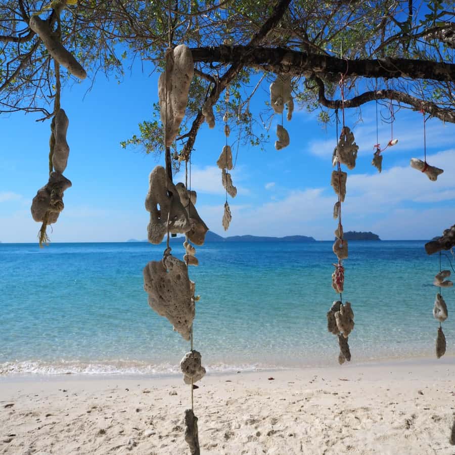 Koh Chang: Full-Day Private Day Trip - Salak Kok Village and mangroves: traditional paths and calmer scenes
