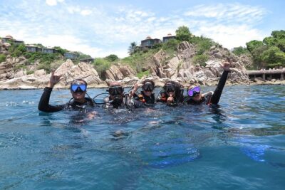 Koh Tao 2-Dive Day Trip from Koh Samui for certified divers - Two scuba sessions in the Gulf: what you should expect to see