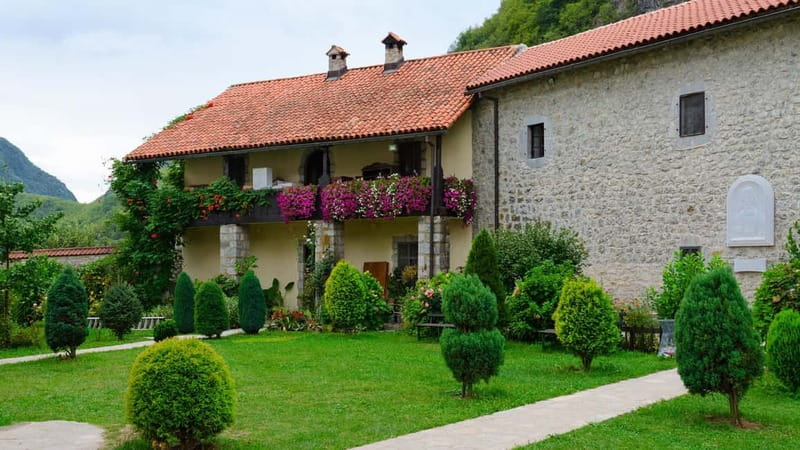 Kotor: Lake Skadar and Biograd Day Trip & Boat Ride - Lake Skadar National Park by Boat: Wildlife, Forts, and Time to Swim