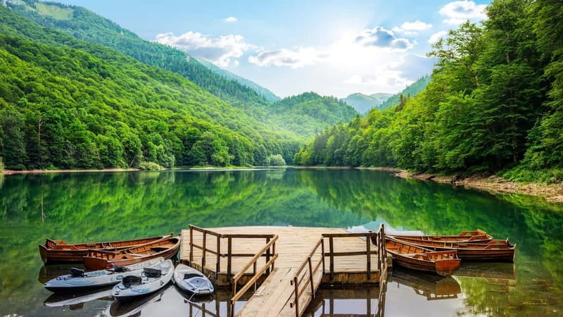 Kotor: Lake Skadar and Biograd Day Trip & Boat Ride - Pastoral Drives Through the Interior: Why the Transfers Still Matter