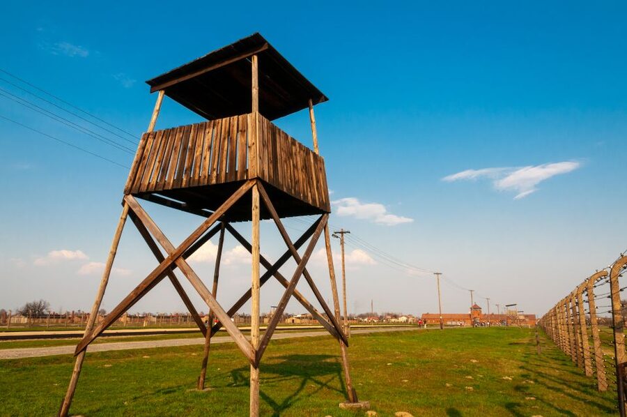 Krakow: Auschwitz-Birkenau and Wieliczka Salt Mine Day Trip - What’s included (and what you’ll still need to handle)