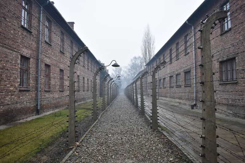 Krakow: Auschwitz-Birkenau Day Trip with Tour Leader - Key things I’d bet on