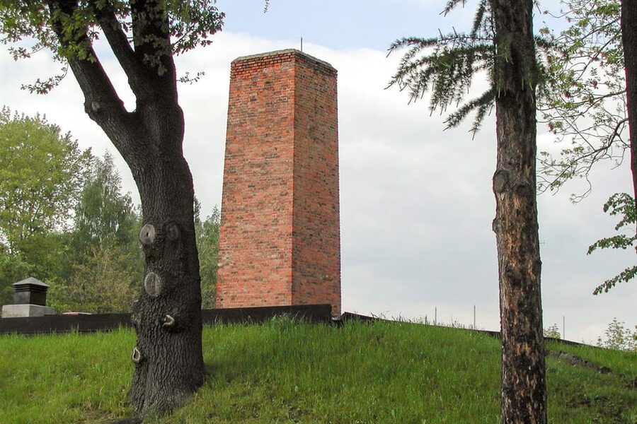 Krakow: Auschwitz-Birkenau Day Trip with Tour Leader - How to Prepare: ID, Name Match, and Luggage Limits