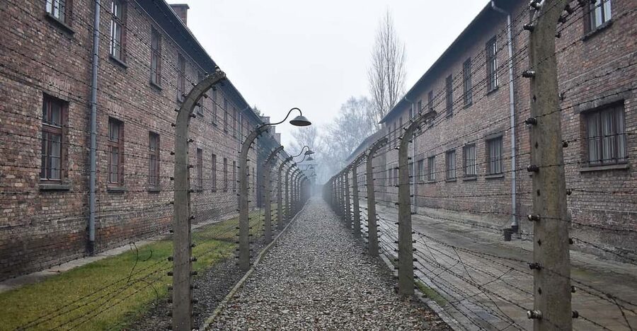 Krakow: Auschwitz-Birkenau Day Trip with Tour Leader - What’s Not Included: Food, and Other Things to Plan For