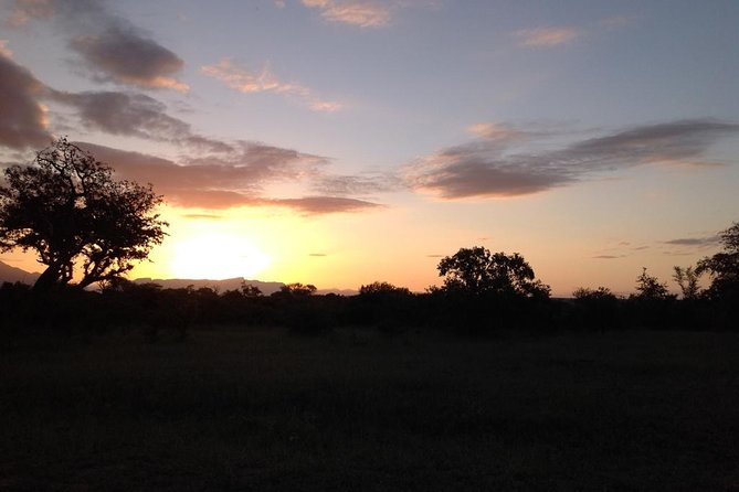 Kruger Park Safari: Guided Day Tour from Nelspruit - Second and third sightings: Big Five chances and river-side drama