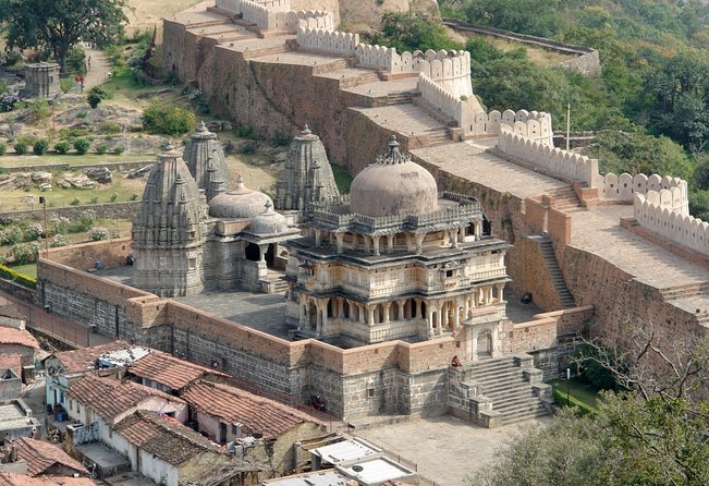 Kumbhalgarh and Ranakpur: Private Day Trip from Udaipur - Your guide and driver: what the strong reviews signal