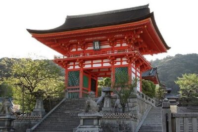 Kyoto and Nara Day Trip from Kyoto - Golden Pavilion Time at Kinkaku-ji (and Why the Pond Matters)