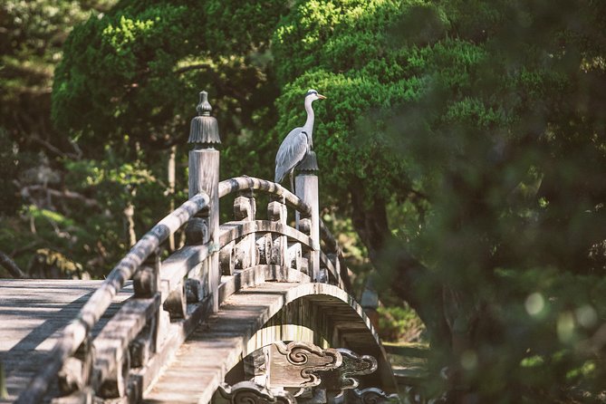 Kyoto and Nara Day Trip from Kyoto - The Day’s Pace: When Timing Helps and When It Feels Rushed