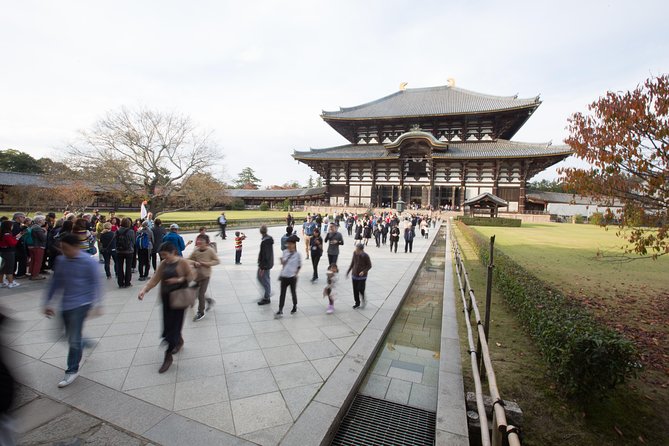 Kyoto and Nara Day Trip from Kyoto - Guides That Make the Stops Click (KC, Momo, Yuki, and More)