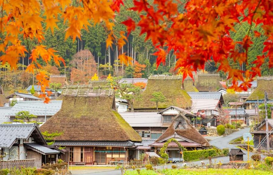 Kyoto: Miyama Village, Amanohashidate & Ine Bay Day Trip - Amanohashidate: the dragon sandbar plus temple-and-shrine meaning
