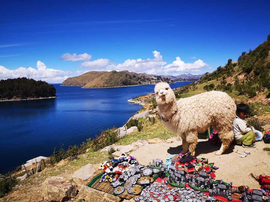 La Paz: Full Day Trip to Copacabana and Isla del Sol - Why this La Paz–to–Isla del Sol trip feels worth it