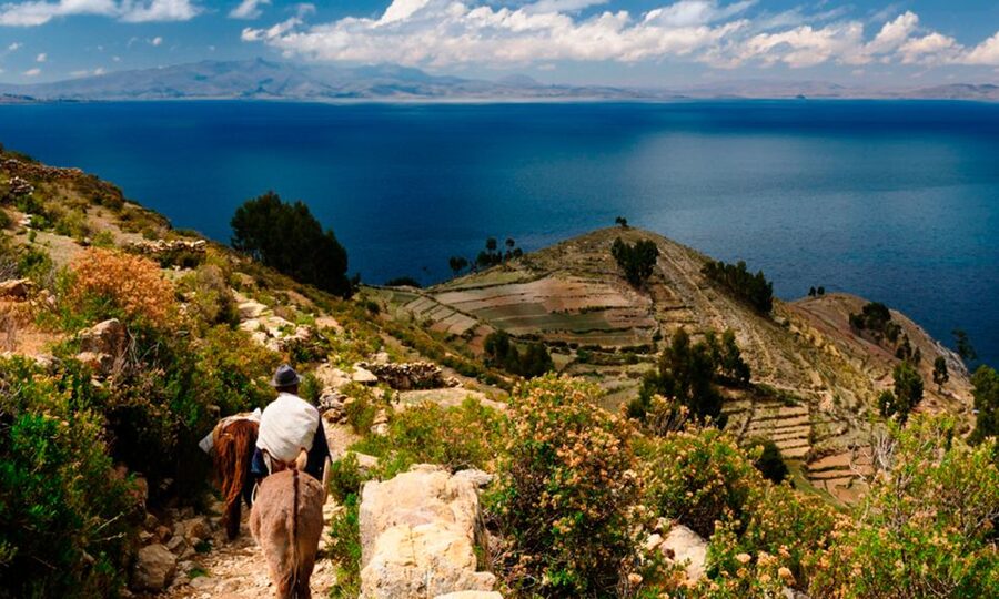 La Paz: Full Day Trip to Copacabana and Isla del Sol - Price and what’s included: where the $59 buys real value