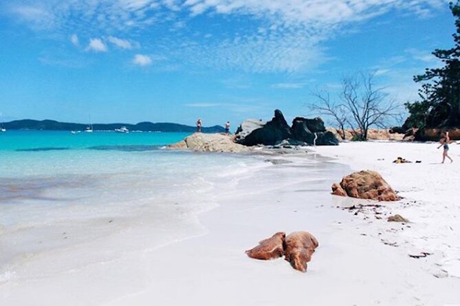 Lady Enid Sailing and Snorkeling Day Trip including Whitehaven Beach - Reef snorkeling from the yacht: how to use the 45 minutes well