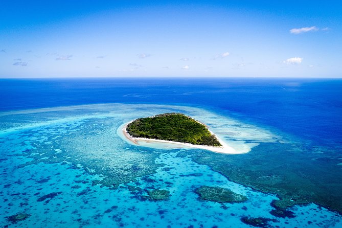 Lady Musgrave Day Trip from Bundaberg Including Snorkeling - Key things that make this trip worth your time