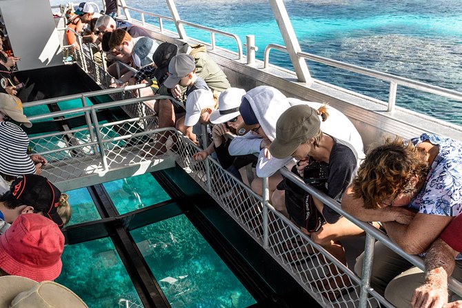 Lady Musgrave Day Trip from Bundaberg Including Snorkeling - Reef presentation, then straight to snorkeling and fish spotting