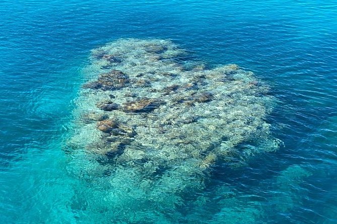 Lady Musgrave Day Trip from Bundaberg Including Snorkeling - Scuba option for certified divers and first-timers