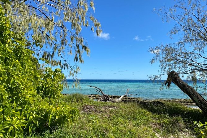 Lady Musgrave Day Trip from Bundaberg Including Snorkeling - Price and value: what you’re paying for at $240.64