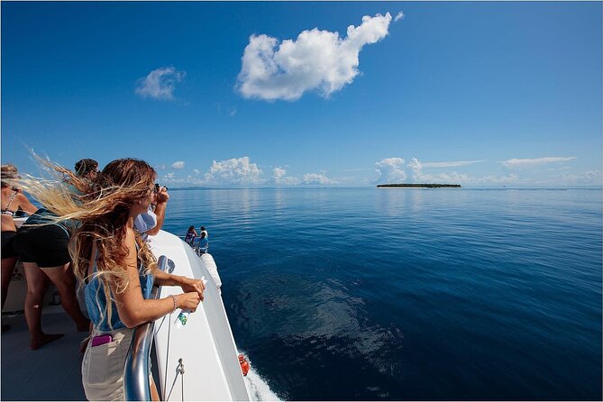 Lady Musgrave Day Trip from Bundaberg Including Snorkeling - Tips to make the day smoother: motion sickness, water time, and gear mindset