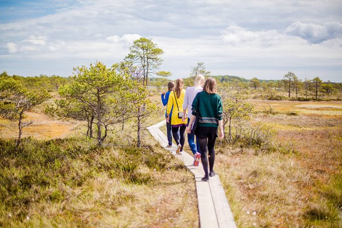 Lahemaa National Park Day Trip - Lunch, Local Stops, and Why Food Matters on a Long Day