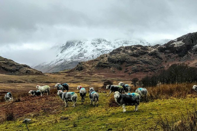 Lake District Adventure Sightseeing Day Trip from Liverpool - Key things to know before you go