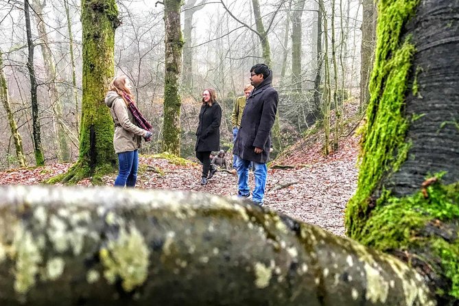 Lake District Adventure Sightseeing Day Trip from Liverpool - Grasmere Gingerbread Shop: The Short Stop With Big Personality