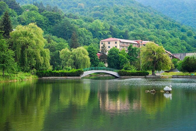 Lake Sevan & Dilijan Guided Day Trip with Ijevan Wine Tour - A 9–10 Hour Day That Stays Moving (In a Good Way)
