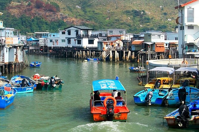 Lantau Island Day Trip - Big Buddha & Tai O - Snacks, Drinks, and the Light Vegetarian Meal