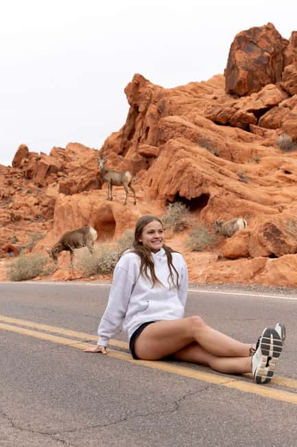 Las Vegas: Valley of Fire and Red Rock Canyon Day Trip - Key Highlights Worth Getting Excited About