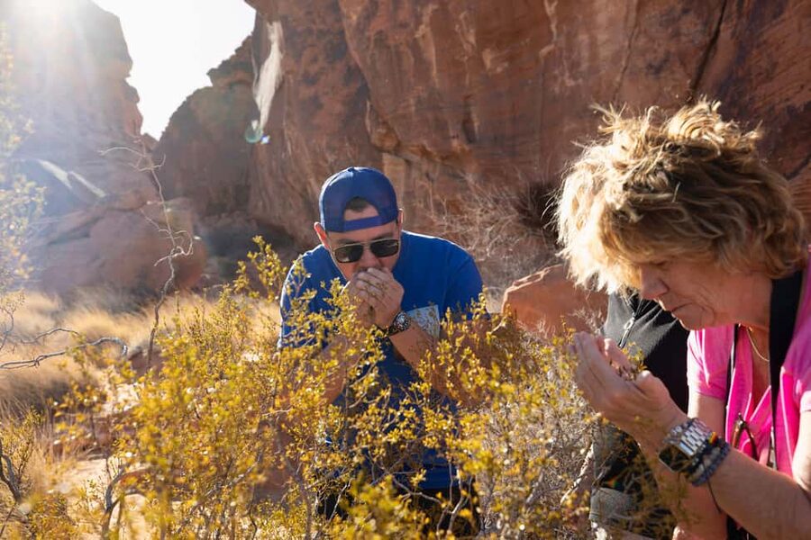 Las Vegas: Valley of Fire and Red Rock Canyon Day Trip - Sunrise Drives Your Eyes First, Then Your Camera