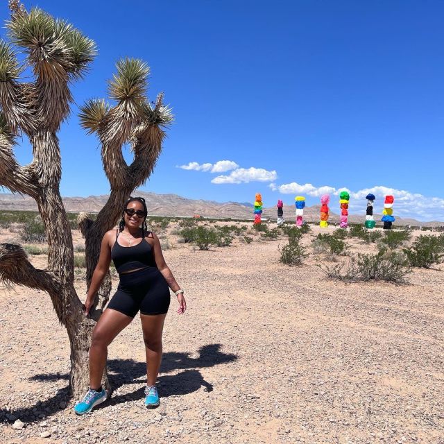 Las Vegas: Valley of Fire and Red Rock Canyon Day Trip - What’s Included (and Why That Matters for Value)