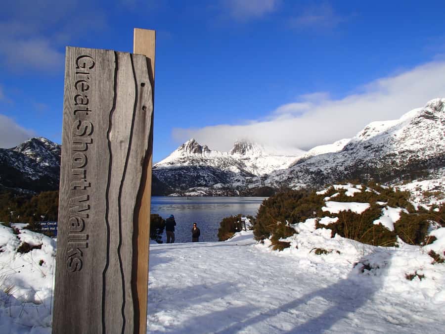Launceston: Cradle Mountain Guided Active Day Trip - Van Diemen’s Land Ice Creamery and Christmas Hills Farm stop