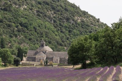 Lavender in Luberon Small Group Half-Day Trip - Stop 1: Luberon Area Time That Sets the Tone