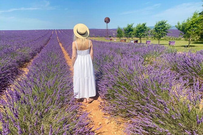 Lavender in Luberon Small Group Half-Day Trip - Stop 3: Goult Lavender Fields and the Photo-Stop Sweet Spot