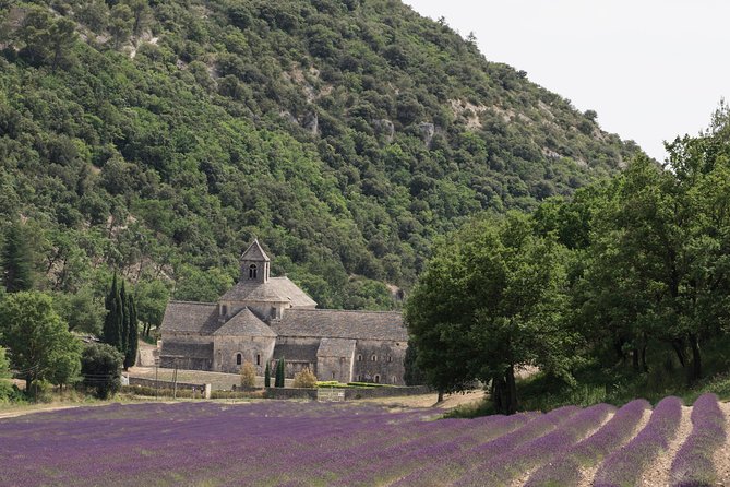 Lavender in Luberon Small Group Half-Day Trip - Stop 1: Luberon Area Time That Sets the Tone