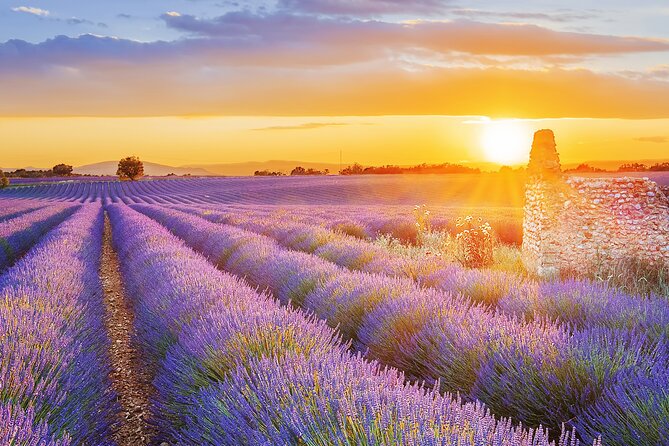 Lavender Route - Small-Group Day Trip from Avignon - Stop 3: Roussillon’s Ochre Colors and the Walking Option
