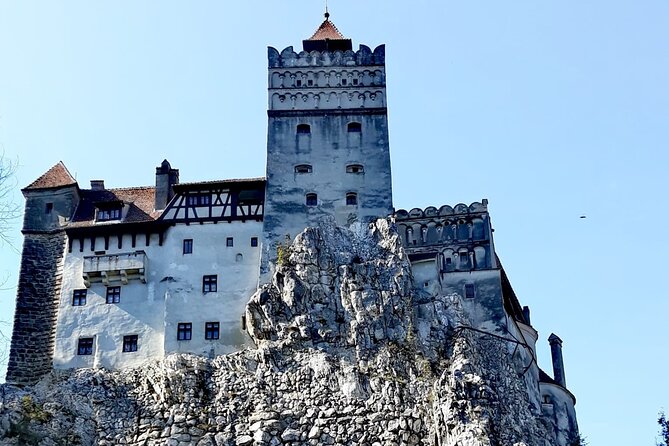 Libearty Bear Sanctuary and Dracula's Castle - Day Tour from Bucharest - Guides who actually shape the day (not just the driving)