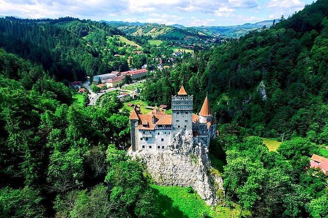 Libearty Bear Sanctuary and Dracula's Castle - Day Tour from Bucharest - Who this tour suits best