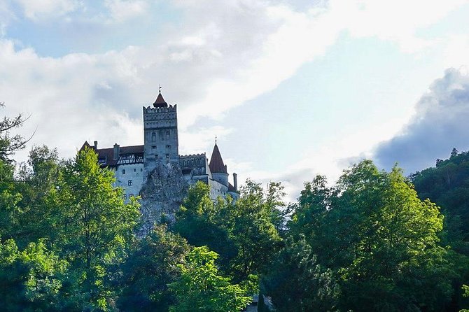 Libearty Bear Sanctuary and Dracula's Castle - Day Tour from Bucharest - Should you book this Bucharest day tour?