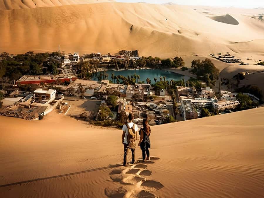 Lima: Paracas & Huacachina Oasis Day Trip with Wine & Dunes - Key highlights worth waking up for