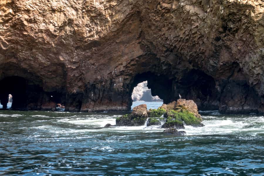 Lima: Paracas & Huacachina Oasis Day Trip with Wine & Dunes - The Ica Wine Valley at CULTURPISCO: Free Pisco and Wine Tastings
