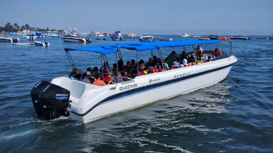 Lima: Paracas & Huacachina Oasis Day Trip with Wine & Dunes - Price and Value: What $100 Gets You From Lima