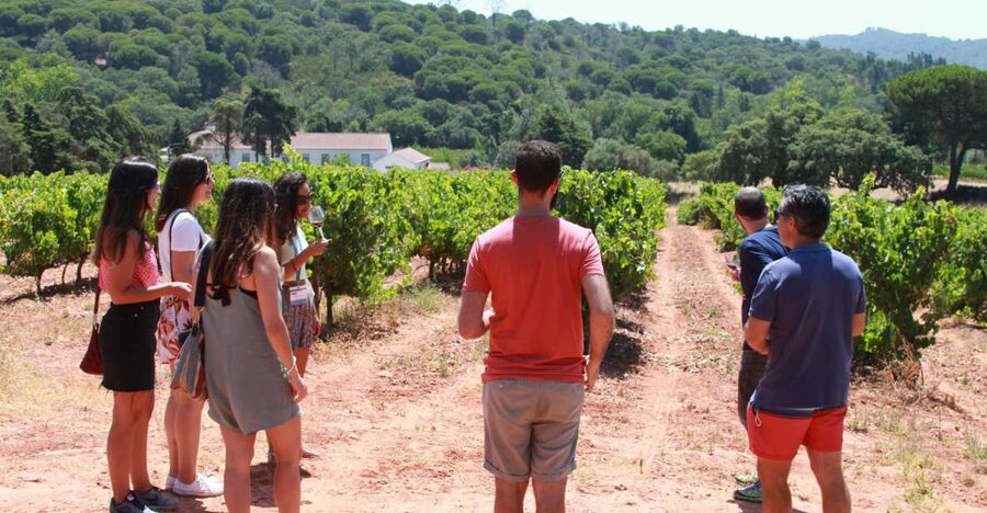 Lisbon: Arrábida and Sesimbra Day Trip with Wine - Why This Arrábida and Sesimbra Wine Day Trip Feels Worth It