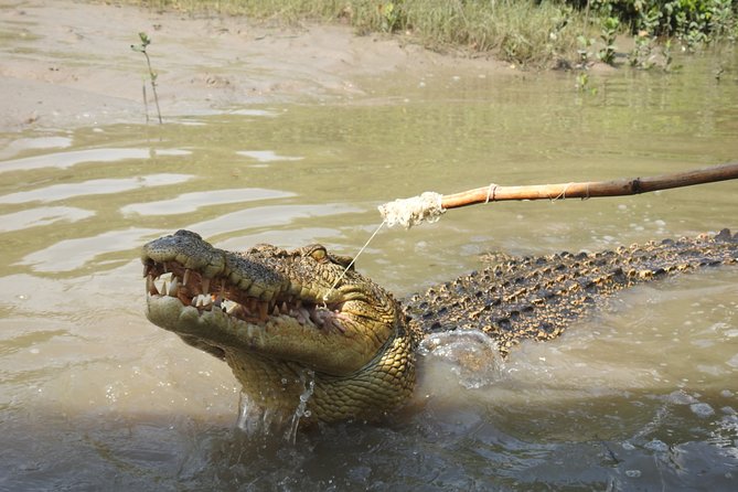 Litchfield and Jumping Crocodiles Full Day Trip from Darwin - Crocs first: the 7:00 am start from Darwin