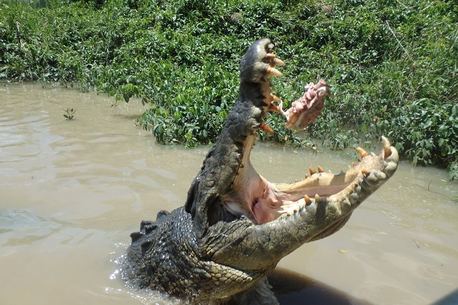 Litchfield and Jumping Crocodiles Full Day Trip from Darwin - Champagne and Darwin sunset at the end of the day