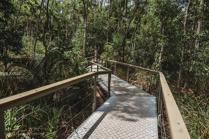 Litchfield Day Tour from Darwin with Offroad Dreaming - Food and drinks: lunch at Wangi plus snacks and iced water