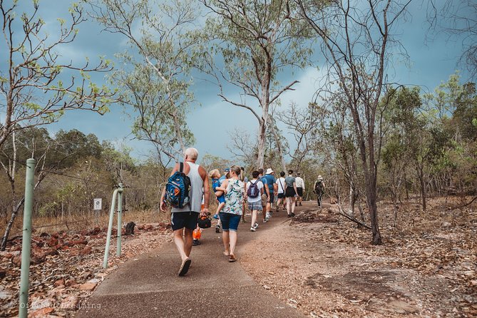 Litchfield Day Tour from Darwin with Offroad Dreaming - Magnetic Termite Mounds: weird engineering worth your stop