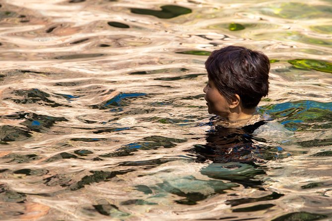 Litchfield National Park Day Tour from Darwin - Wangi Falls: the easiest rock-pool swim and a great finale